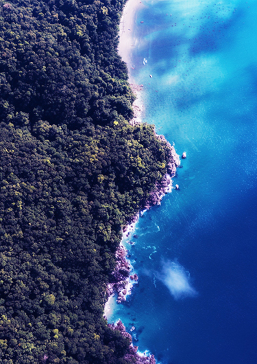 Nachhaltigkeitsberatung