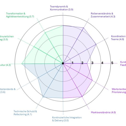 TeamHealthChecksSpiderGER