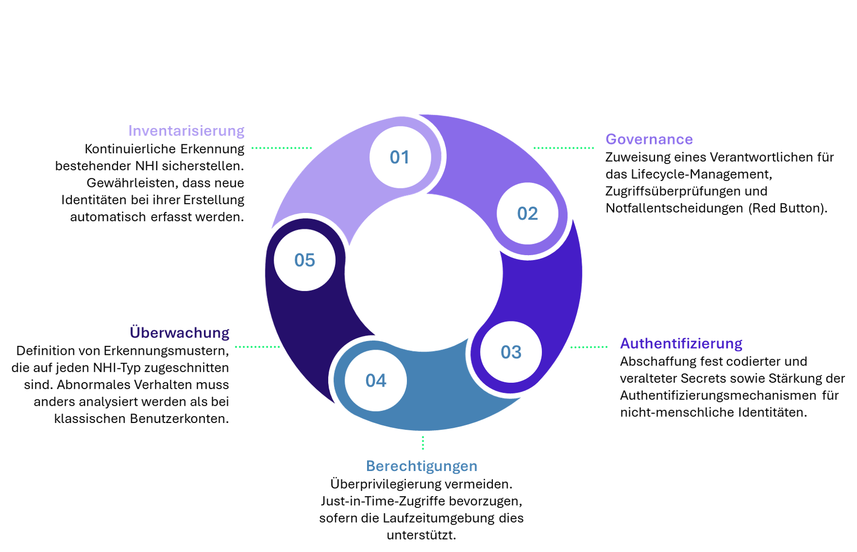 circular visual illustrating 5 pillars for NHI