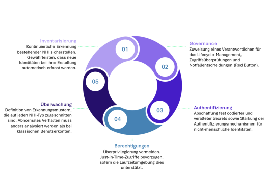 circular visual illustrating 5 pillars for NHI
