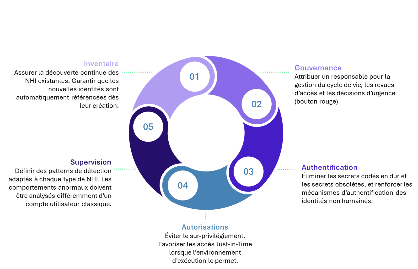 circle diagram illustrating 5 pillars for NHI