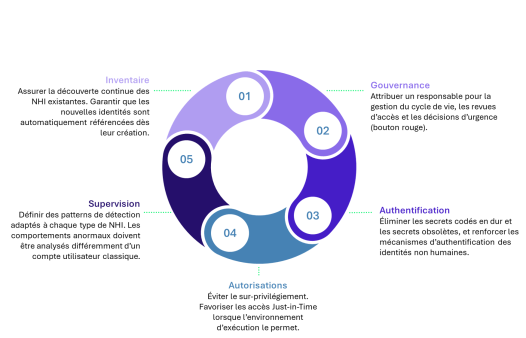 circle diagram illustrating 5 pillars for NHI