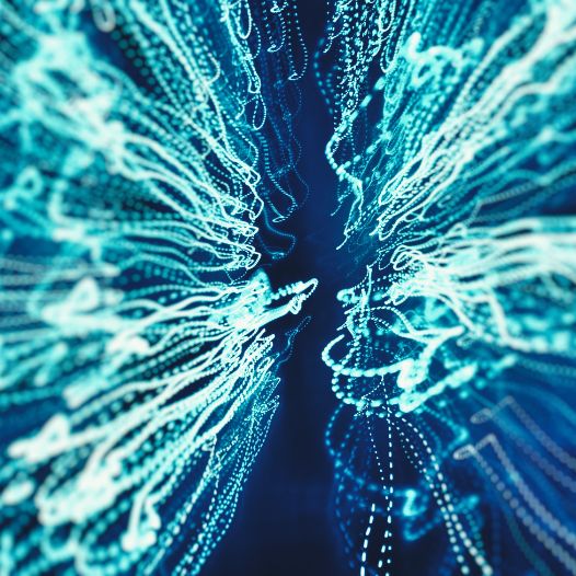 Digital network illustrating sprawl