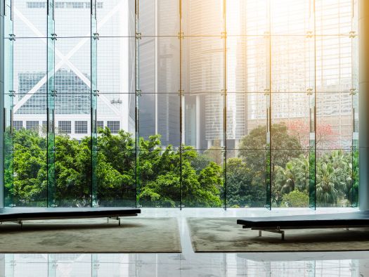 glass window with trees